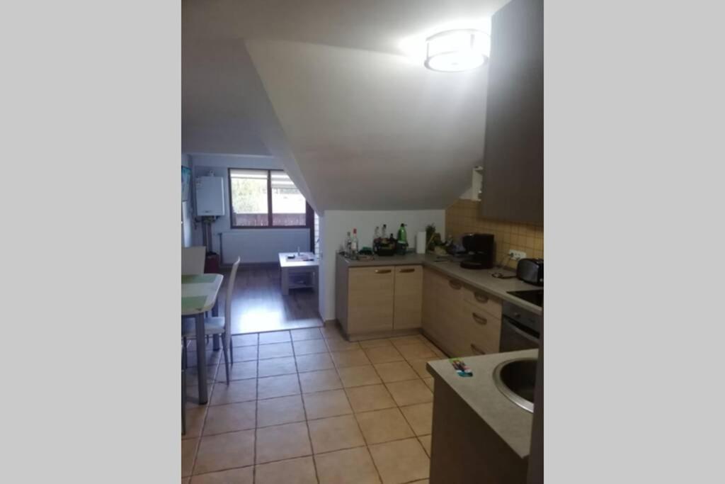 Large Vacation Apartment In Poiana Brasov Ngoại thất bức ảnh