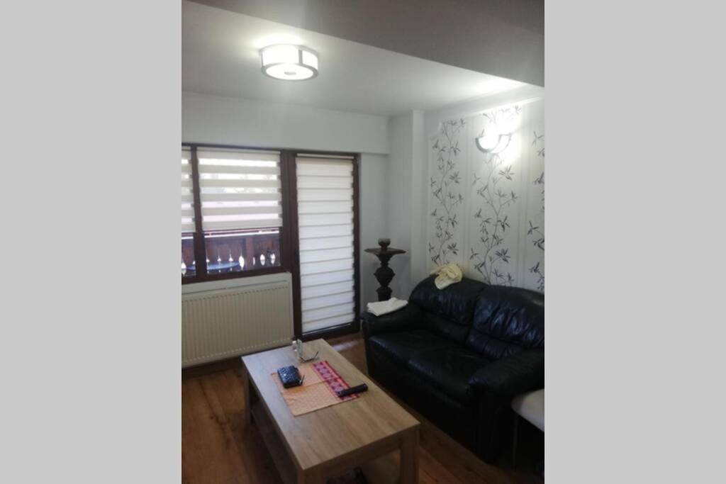 Large Vacation Apartment In Poiana Brasov Ngoại thất bức ảnh